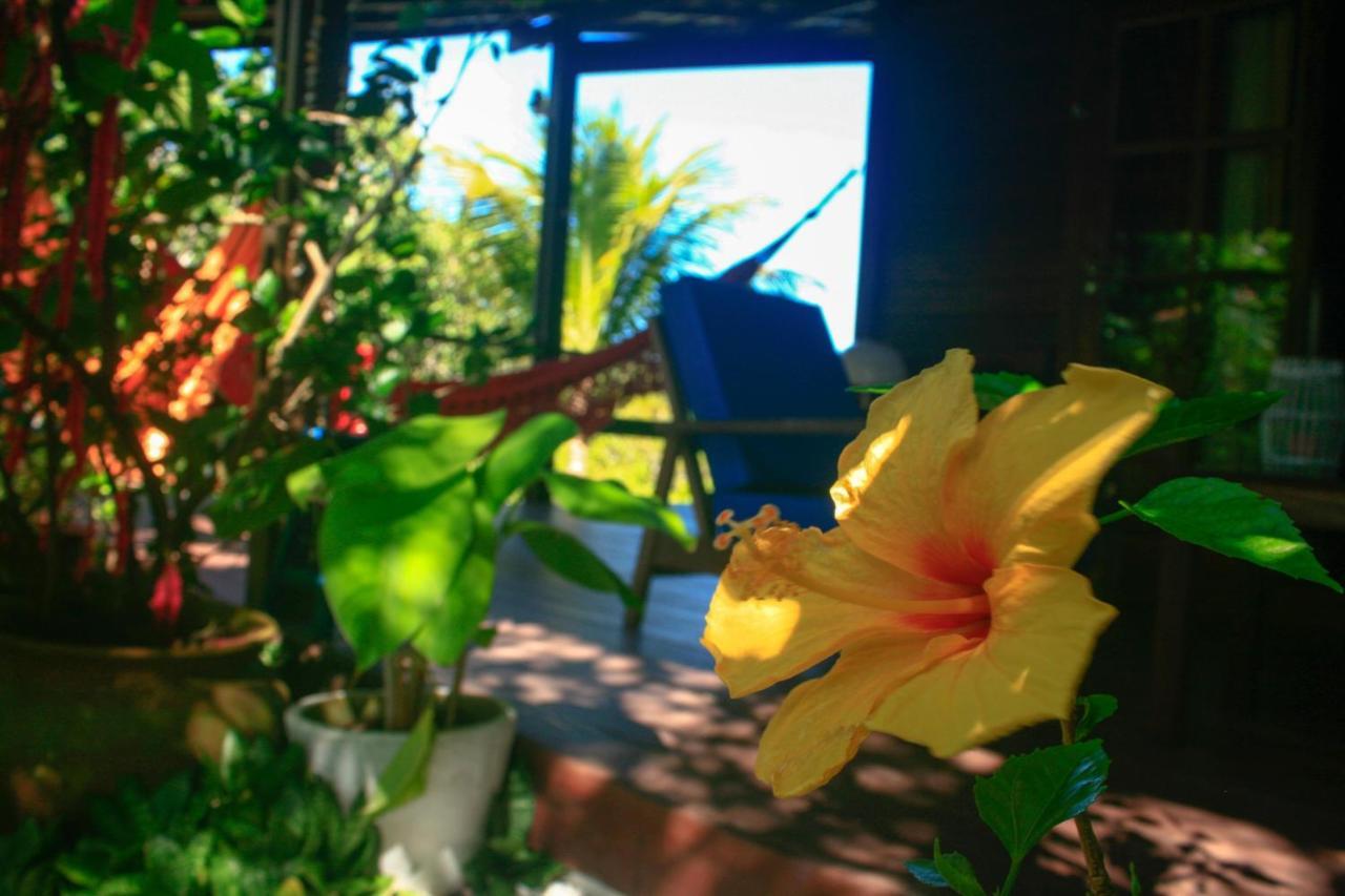 Villa Maree Praia de Pipa Dış mekan fotoğraf